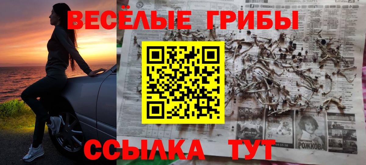 Костомукша  Псилоцибиновые грибы ЛСД  Вход с VPN 
